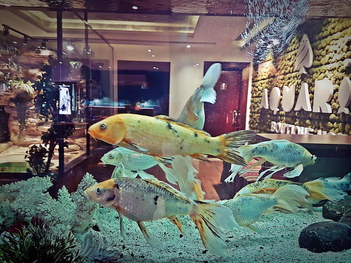 Aquarium Hotel Рияд Екстериор снимка