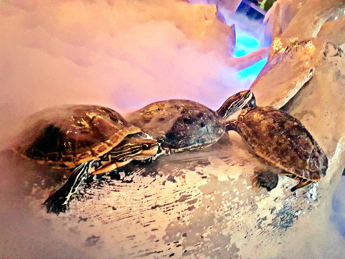 Aquarium Hotel Рияд Екстериор снимка